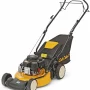 Cub Cadet LM1 AR46 #1